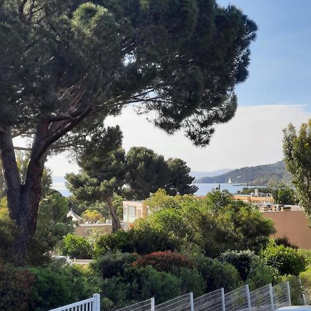 Studio Thalie Bormes-les-Mimosas Eksteriør billede